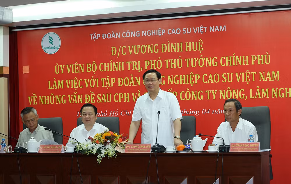 Phó Thủ tướng Vương Đình Huệ phát biểu tại buổi làm việc. Ảnh: VGP