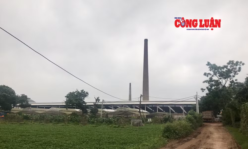 Lò gạch nằm ngay giữa cánh đồng, ảnh hưởng lớn đến sản xuất nông nghiệp của người dân