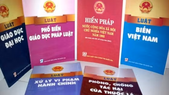 Ảnh minh họa. Nguồn: TL