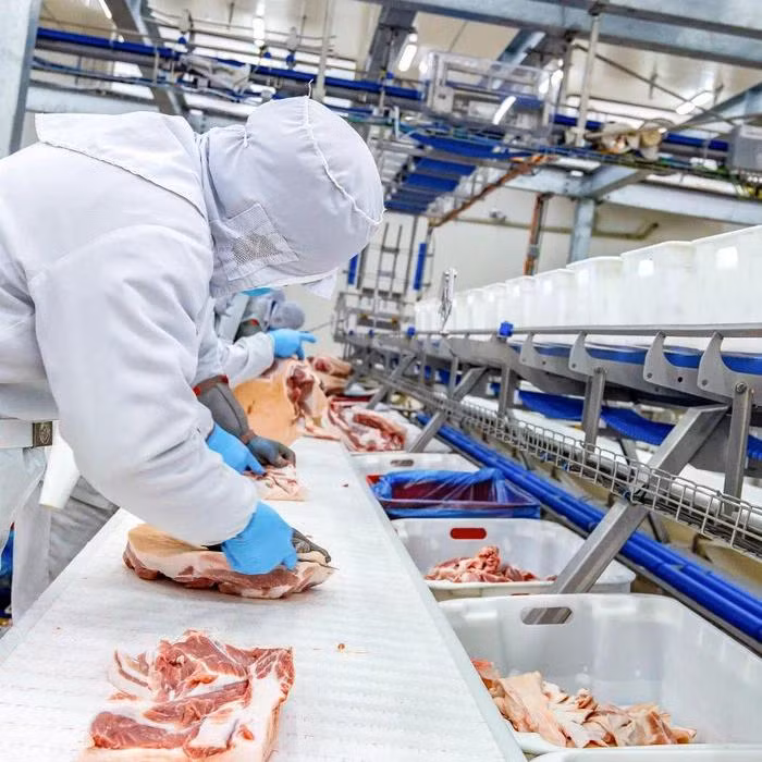 Dây chuyền sản xuất thịt ủ mát chuẩn Âu tại tổ hợp chế biến thịt MEATDeli tại Hà Nam (1)
