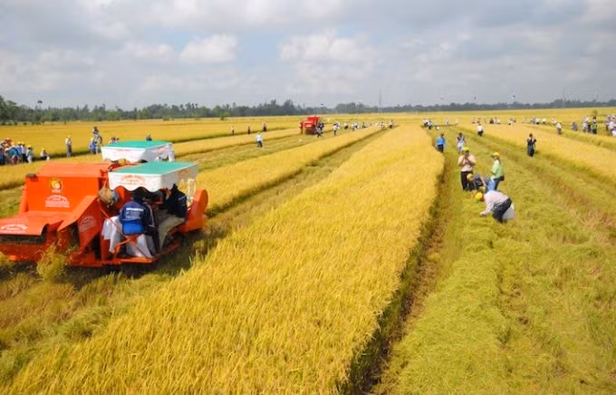 Các trường hợp được miễn thuế sử dụng đất nông nghiệp đến hết ngày 31/12/2030- Ảnh 1.
