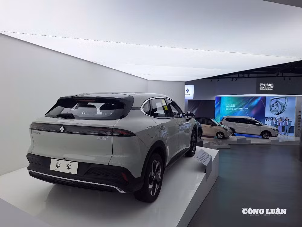 z7204958567262_c0f2fac5cf631da70aa768b80e763652.jpg