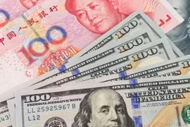 Tỷ giá ngoại tệ hôm nay 11/6: Đồng đô la Mỹ hồi phục nhẹ