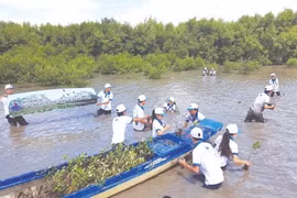 Lập kế hoạch ứng phó với biến đổi khí hậu giai đoạn 2021-2030