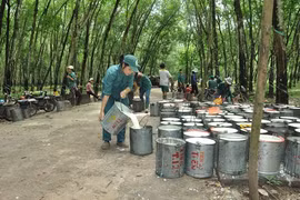 Hỗ trợ gần 63 tỷ đồng cho 2 doanh nghiệp sử dụng lao động dân tộc thiểu số