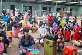 Kiên Giang đưa 20 xe lên TP. HCM đón gần 400 người về quê