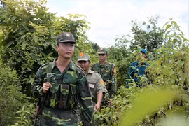 Triển khai thi hành Luật Biên phòng Việt Nam