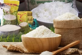 Xây dựng gạo ST trở thành thương hiệu gạo thơm hàng đầu của Việt Nam