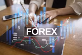 Đầu tư Forex: "Trứng hay vịt khôn hơn?"