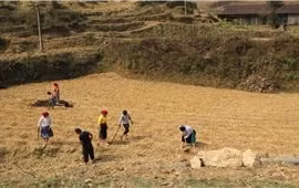 Cần giải quyết hài hòa chính sách đất đai trong vùng đồng bào DTTS