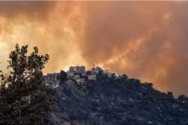 Hơn 40 người thiệt mạng do cháy rừng ở Algeria