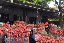 Bộ Nông nghiệp và Phát triển nông thôn "gỡ khó" cho nông sản
