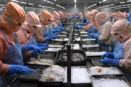 Hỗ trợ phục hồi thay vì hỗ trợ cầm cự