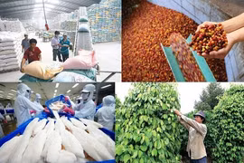 2 tháng đầu năm 2021 xuất khẩu nông, lâm, thủy sản tăng hơn 16%
