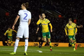 Nhận định trận Norwich vs Leeds, 21h00 ngày 31/10, dự đoán vòng 10 Ngoại hạng Anh