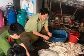 Phát hiện 220 kg nội tạng trâu, bò không rõ nguồn gốc xuất xứ