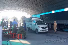 Quảng Ninh sẽ test SARS-CoV-2 đối với người lao động trên các phương tiện thủy nội địa