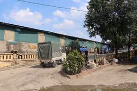 Hỏa thiêu số hàng đông trùng hạ thảo Tây Tạng nhập lậu lớn nhất từ trước đến nay