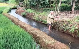 "Thủ lĩnh" làng Bot Grek