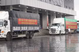 Hải Dương hỗ trợ 160 tấn gạo cho nhân dân miền Nam phòng chống dịch