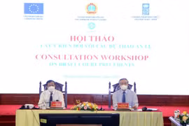 Hội thảo trực tuyến lấy ý kiến góp ý 11 Án lệ