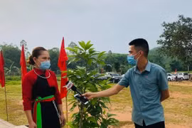 Bài 2: Phối hợp nhịp nhàng và hiệp đồng tác chiến  