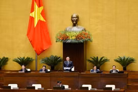 Quốc hội phê chuẩn một số Phó Chủ tịch, Ủy viên Hội đồng bầu cử Quốc gia