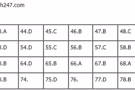 Đáp án đề thi tốt nghiệp THPT 2021 môn Hóa học, mã đề 202 (tham khảo)