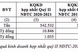 Tập đoàn Hoa Sen: Doanh thu, lợi nhuận niên độ tài chính quý II 2020-2021 tăng mạnh