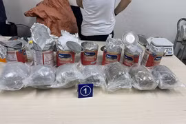 Thu giữ gần 36 kg ma túy được giấu trong các lô quà biếu nhập khẩu