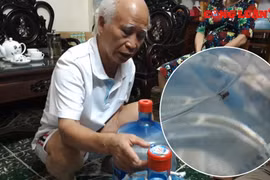 Khách hàng “tá hỏa” phát hiện vật thể lạ trong bình nước Lavie