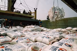 Gạo Việt Nam “rộng cửa” vào thị trường Philippines