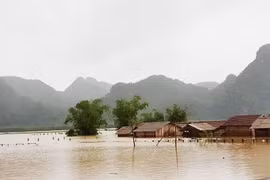 Mưa lũ gây thiệt hại nghiêm trọng tại các tỉnh Bắc Trung Bộ