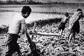 “Kỳ công của chế độ dân chủ”