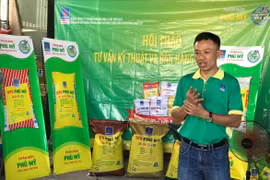 Năm 2019, PVFCCo cung ứng gần 1 triệu tấn phân bón hóa chất