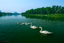Khám phá vẻ đẹp bền vững tại những căn biệt thự đảo triệu đô Ecopark