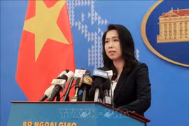 Yêu cầu Trung Quốc rút toàn bộ tàu ra khỏi vùng đặc quyền kinh tế của Việt Nam