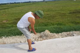 Lộc Hà (Hà Tĩnh): Đường giao thông chưa bàn giao đã chằng chịt vết nứt