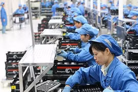 5 tháng đầu năm, Việt Nam đưa hơn 54.000 lao động đi làm việc ở nước ngoài
