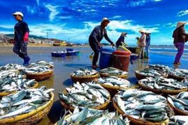 Xuất khẩu thuỷ sản sẽ khởi sắc hơn vào những tháng cuối năm