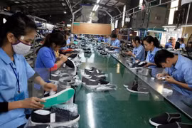 Việt Nam luôn xuất siêu sang Canada