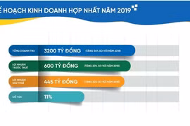 CEO Group chi trả 10% cổ tức năm 2018 bằng tiền