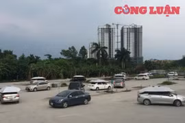 Cần truy trách nhiệm của Đội trưởng Đội Thanh tra GTVT quận Tây Hồ