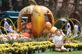 Đây là địa chỉ chơi Halloween độc đáo bậc nhất tại Việt Nam