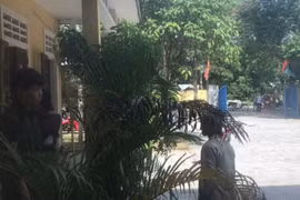 Khởi tố, bắt tạm giam đối tượng hành hung cán bộ bảo vệ rừng ở Huế