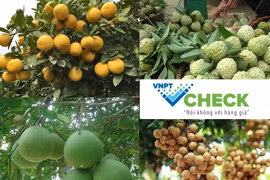 VNPT được vinh doanh ở giải thưởng kinh doanh Châu Á Thái Bình Dương Stevie Awards