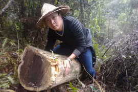 Chiến thuật “khoanh vùng” và đi đến cùng sự việc
