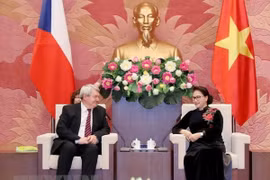 Chủ tịch Quốc hội tiếp Phó Chủ tịch Hạ viện Cộng hoà Czech