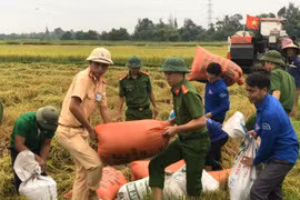 Các tỉnh Bắc Trung Bộ khẩn trương triển khai công tác ứng phó với bão Podul
