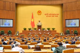 Tuần làm việc thứ năm: Quốc hội tập trung cho công tác lập pháp và nhân sự